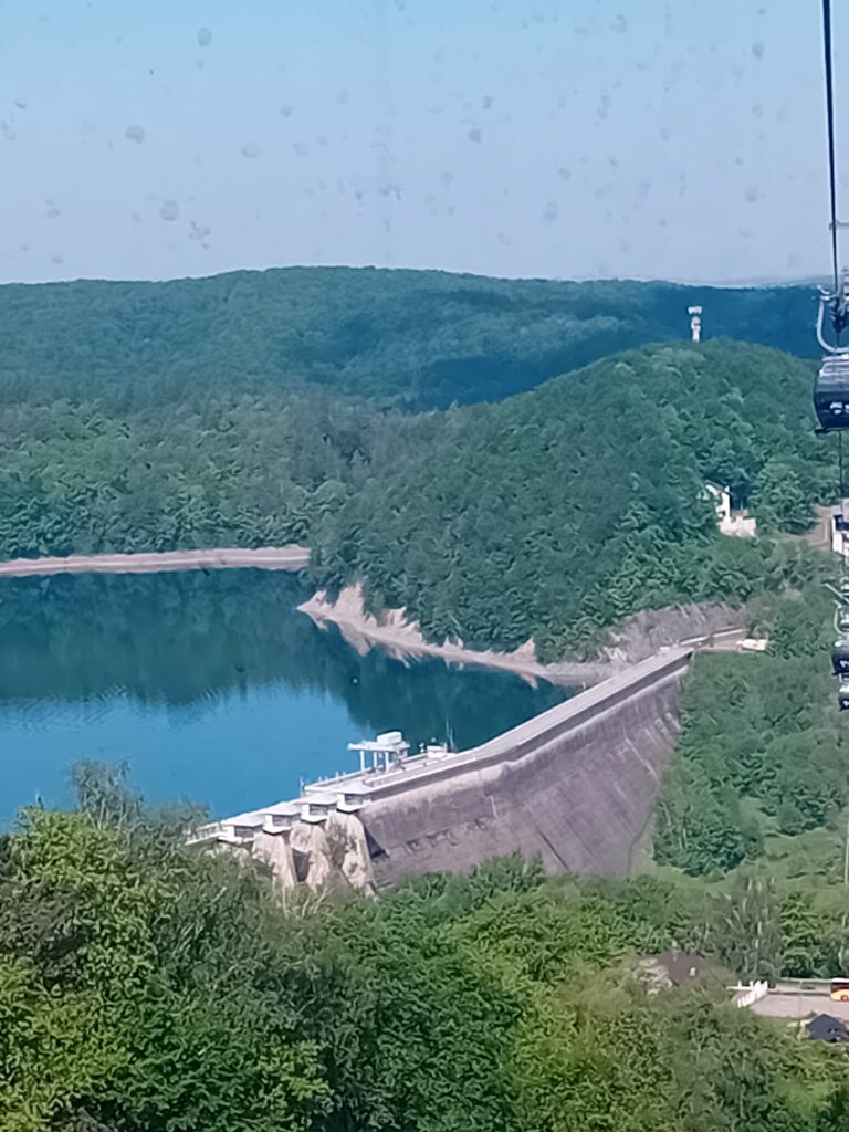 Solina