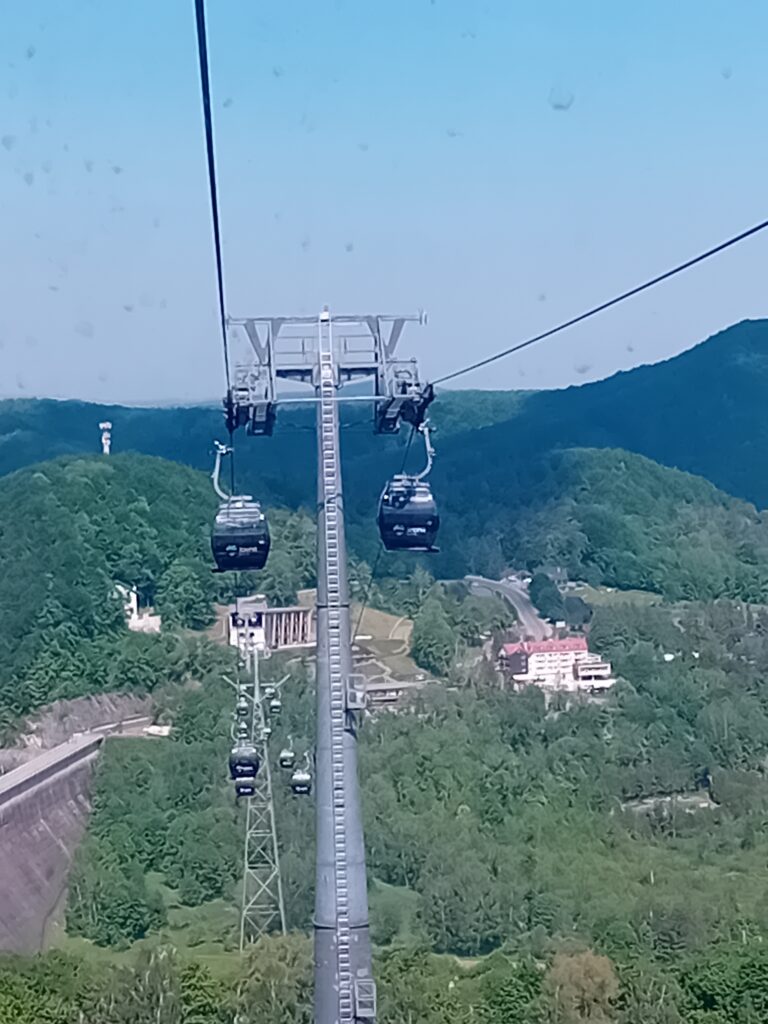 Solina